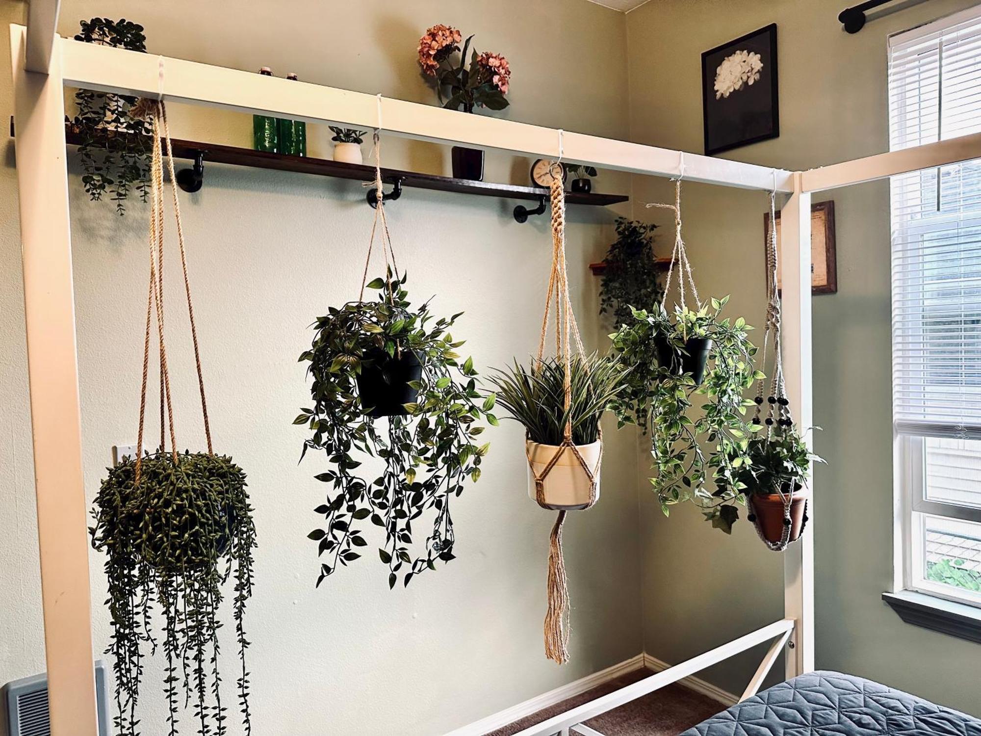 Mr. Mcgregor'S Garden Apartment Salem Bagian luar foto